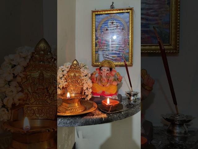 Karthigai deepam special at our home #karthikamasam #light #deepavali #deepam #celebratelight