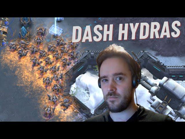 DShlango tries out mass DASH Hydralisks in 2v2, gets crushed (StarCraft 2 new patch)