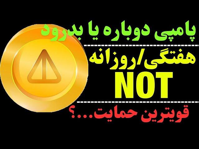 تحلیل ارز نات کوین | آیا ناتکوین پامپ می شود؟ | حرکت مهم ارز NOT چیست؟