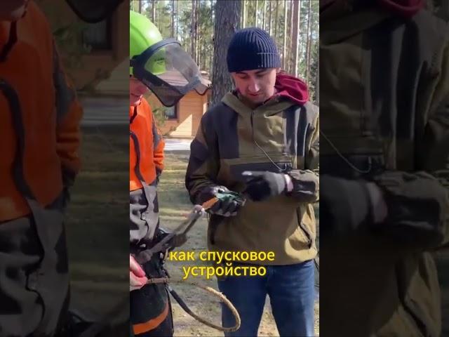Обвес профессионалов. Спецы в арбористике