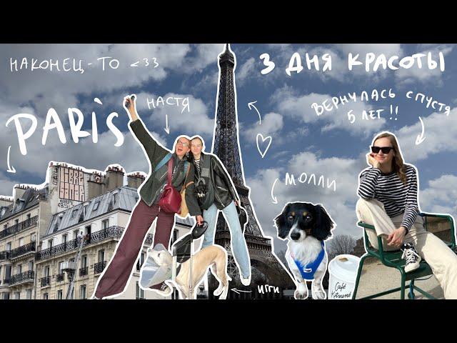 56. 3 дня в Париже: Весна, Красота и Реальность путешествия с собакой | Karolina K