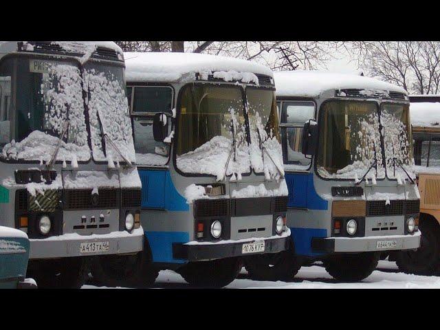 Почему этот Советский автобус ПАЗ-3205 до сих пор покупают?
