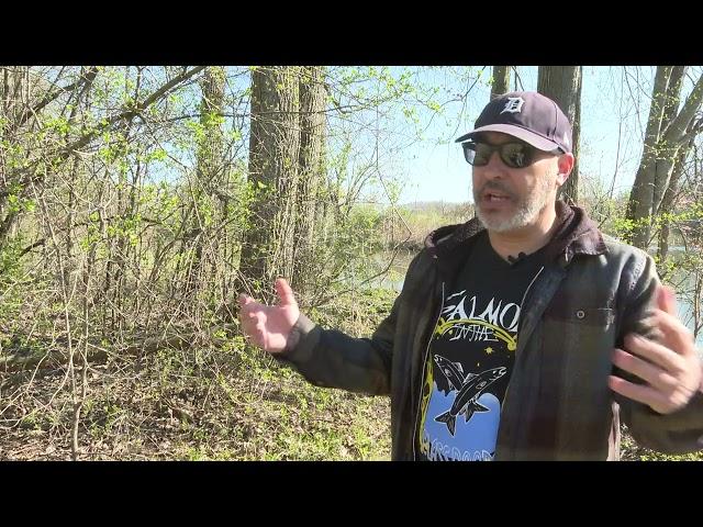 Chinook Salmon Release Story