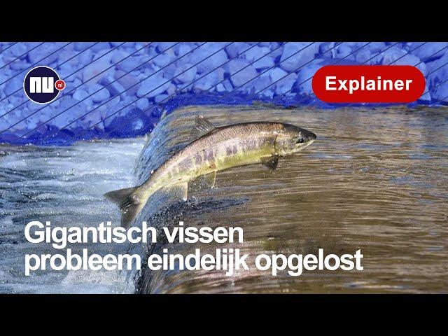 Wereldprimeur bij de Afsluitdijk | NU.nl | Explainer