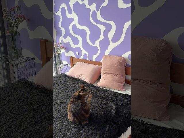 Сделали бы себе такую стену?) #переделка #diy #полинапеределай
