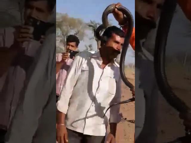 jodhpur man dies after snake bite