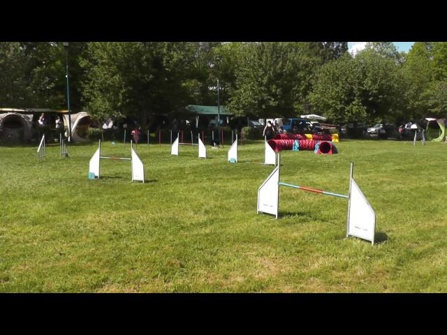 Sybille & Asha   Spiel 1+2   Untergruppenbach am 14 5 2017