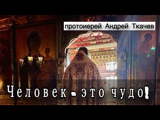 Мы ещё не видели своими глазами Самого Главного. Протоиерей Андрей Ткачёв
