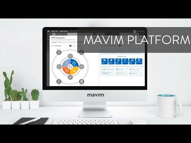 Mavim Platform Demo