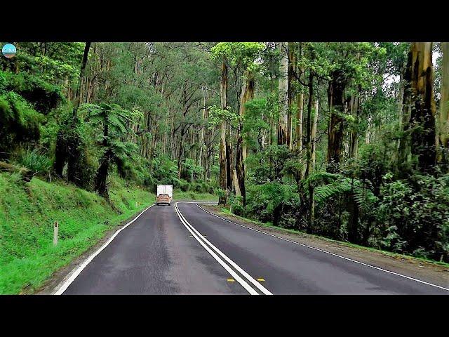 Relax driving in Australian countryside.【4K】