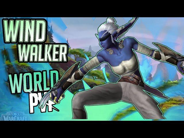 My First Time Playing WindWalker! Soulfist is Born! | Windwalker Monk |  WoW Dragonflight PVP 10.2