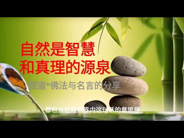 自然是智慧和真理的源泉 | 观察和研究自然界 | 了解关于生命 | 宇宙和人类 | 真理和智慧 | 更多视频在频道#佛法与名言的分享