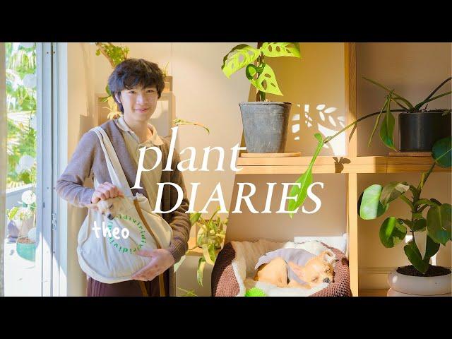 Plant Diaries | new puppy, plant shopping, aquariums