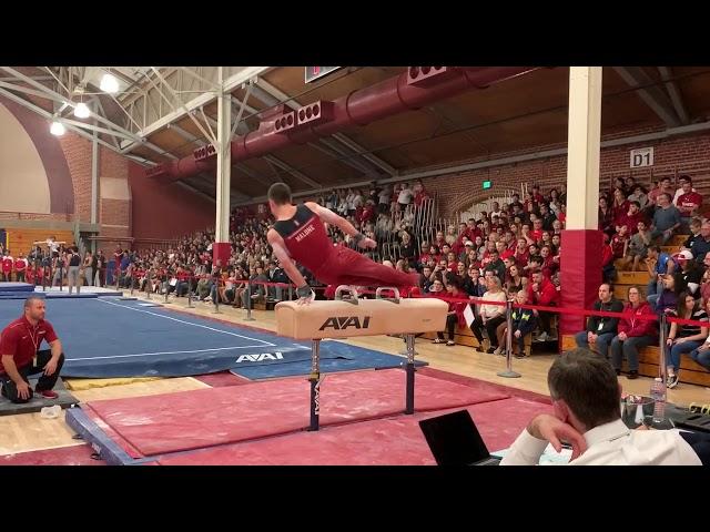 Brody Malone Pommel Horse - 2020 Stanford Open