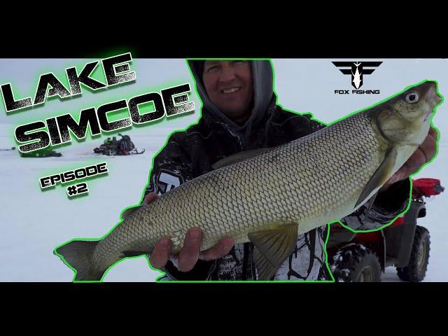 Lake Simcoe Episode #2 Whitefish. Fox Fishing 4k Ultra HD