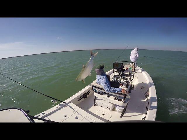 Tarpon Jumps Over Boat! - Must See INSANE Video!