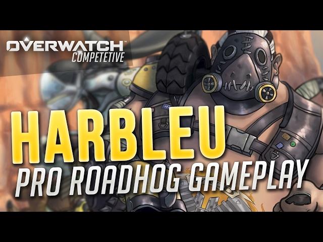 (Top 500) coL Harbleu Pro Roadhog Gameplay