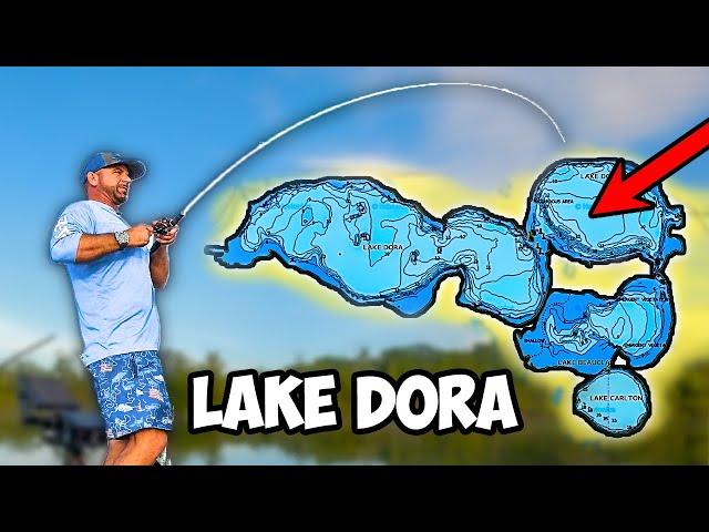 Harris Chain of Lakes Breakdown "Lake Dora"