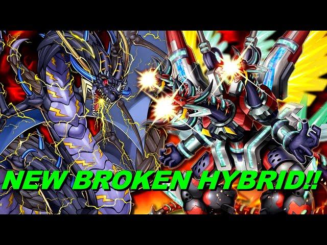 INSANELY STRONG! THUNDER DRAGON LINK DECK POST BANLIST! ​​遊戯王ADS