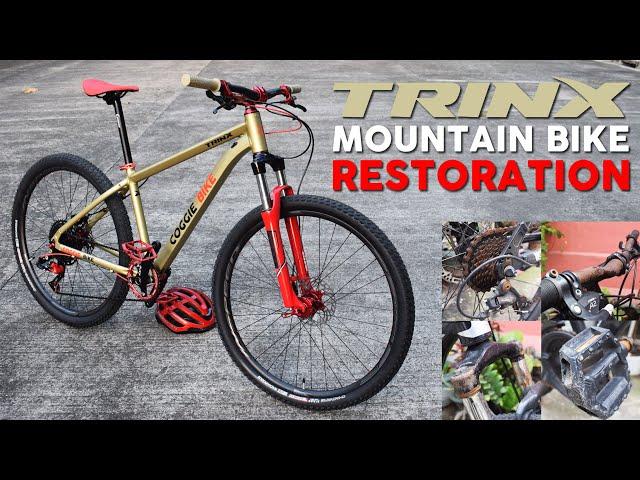 Bike Restoration - Trinx M100 Elite Red & Beige Color Combination