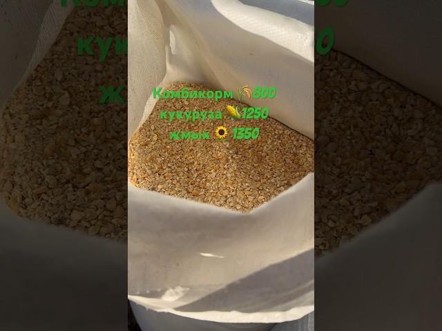 Готовим лакомство для  #фермерскоехозяйство #якутия #кфх #семейнаяферма #ферма #фермер #крс