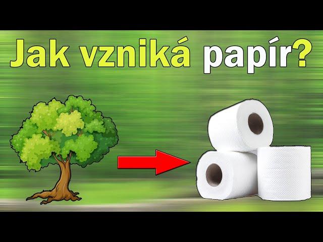 Jak se vyrábí a recykluje papír?