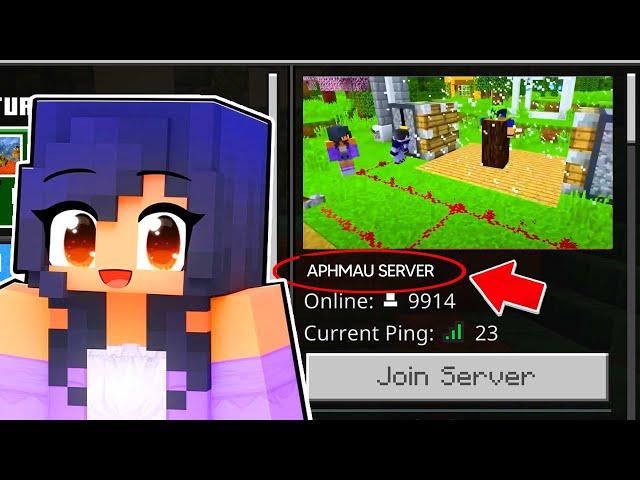 Whats On Aphmaus SECRET Minecraft SERVER?