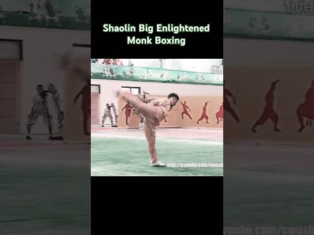 Shaolin Big Arhat Boxing #kungfu #martialarts #buddha