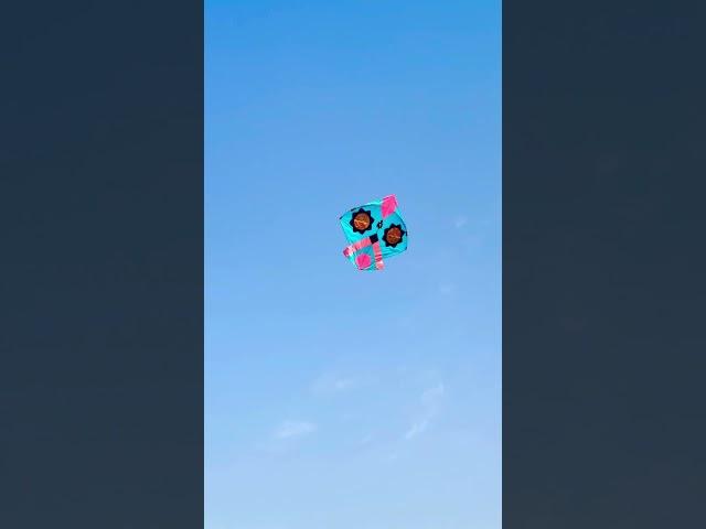 3 Tawa 🪁 #kiteflying #design #viral #kitedesign #subscribe #share #shorts #short #ytshorts #like