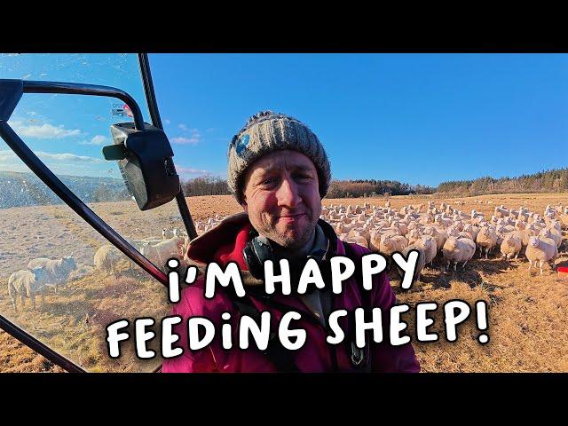 Buying a lot more feed this year but I think it’s worth it 