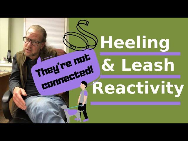 Heeling and Leash Reactivity - They’re Not Connected - Solid K9 Training (2020)