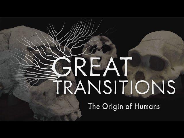 Great Transitions: The Origin of Humans — HHMI BioInteractive Video