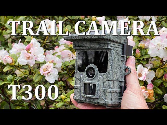 Campark T300 / TC02 Trail Camera - Full In-Depth Review