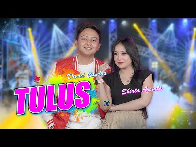 Shinta Arsinta feat. David Chandra - TULUS (Official Music Video) Opo Anane Tomponen | STAR MUSIC