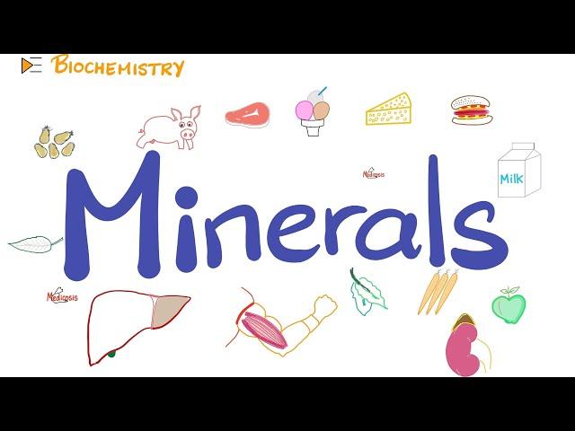 Your Body Needs Minerals (Trace Elements) | Diet and Nutrition