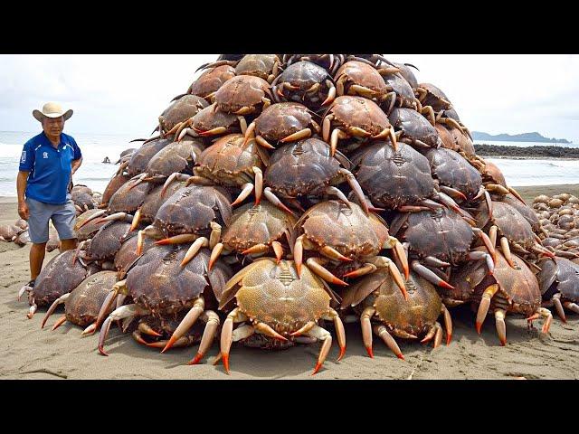 15 Most Dangerous Crustaceans In The World