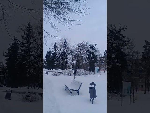 Урюпинск после снегопада.Заснеженный городской сквер.28 января 2024г