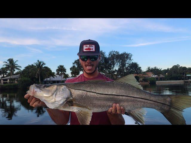 River Giants(Hundreds of Snook!!)