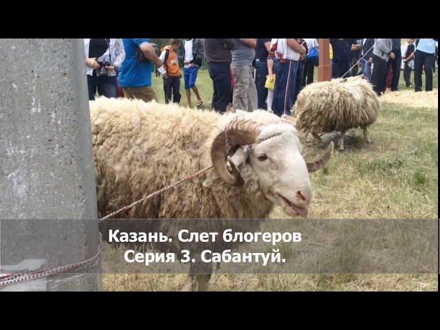 Казань, Нефорум блогеров. Сабантуй