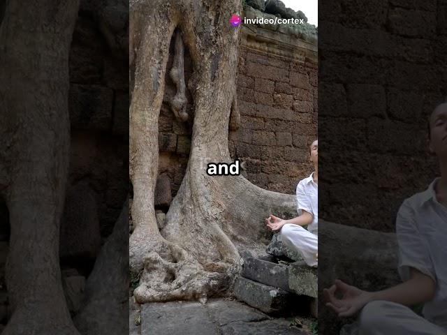 Ancient Wisdom Meets Modern Mind Hacks: Boost Your Brain Today! #ancientwisdom #gratitude