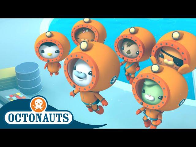 Octonauts - Team Ocean Research | Cartoons for Kids | Underwater Sea Education