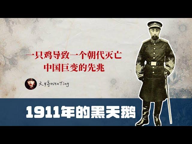 1911年的黑天鹅会在2025年的中国上演吗？