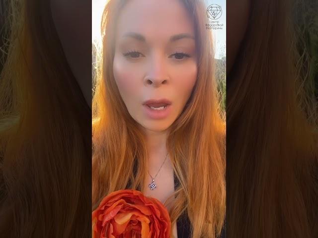 Как перестать много есть? Екатерина Фёдорова