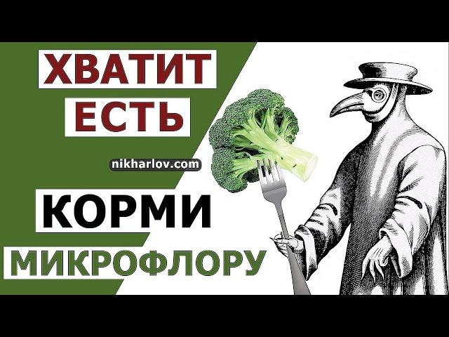 На благо микрофлоры трудится современная наука, пищевая промышленность и фармакологическая индустрия