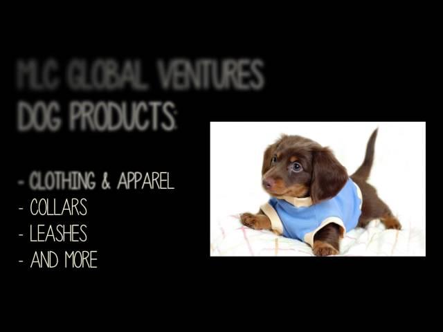 MLC Global Ventures, LLC