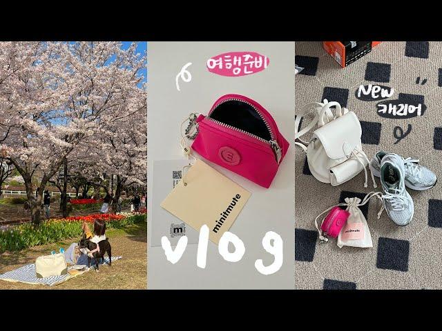 VLOG:: Cherry blossom picnic/Shopping list- suitcase, Minitmute, Asics, backpack/Busan hot spots