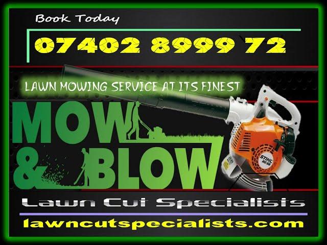 Professional Grass Cutting And Lawn Mowing Service In North Somerset UK