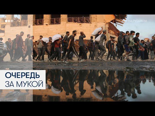 Тысячи палестинцев в Газе выстроились в очереди за мукой