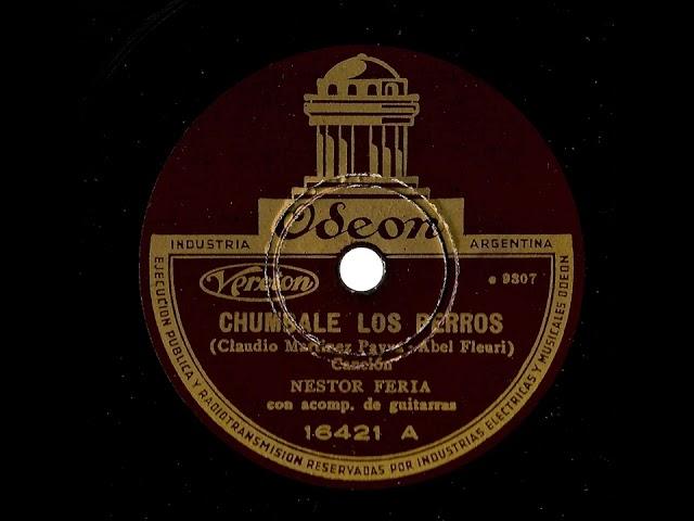 Chumbale los perros (canción) (C M Payva A Fleury) Nestor Feria con acomp de guitarras