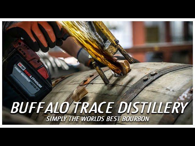 The best bourbon whiskey in the world? Buffalo Trace Distillery Tour